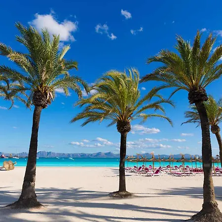 Pons Paradise *